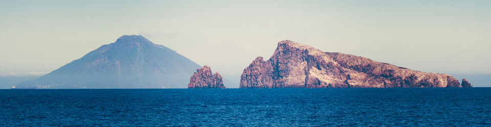 Salina